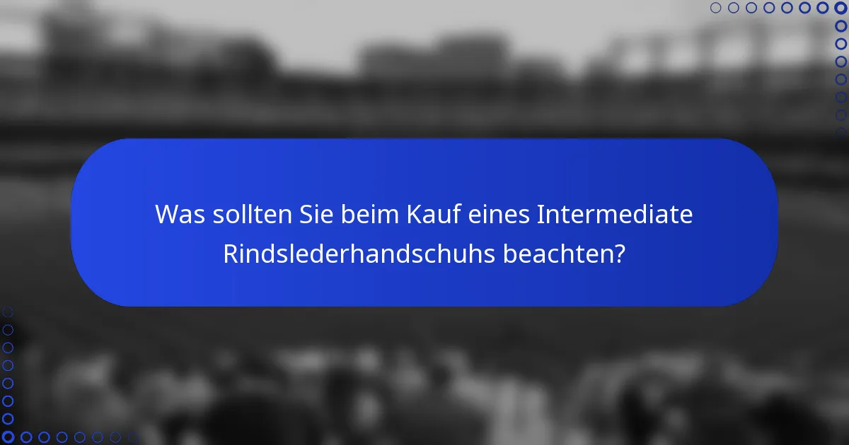 Was sollten Sie beim Kauf eines Intermediate Rindslederhandschuhs beachten?