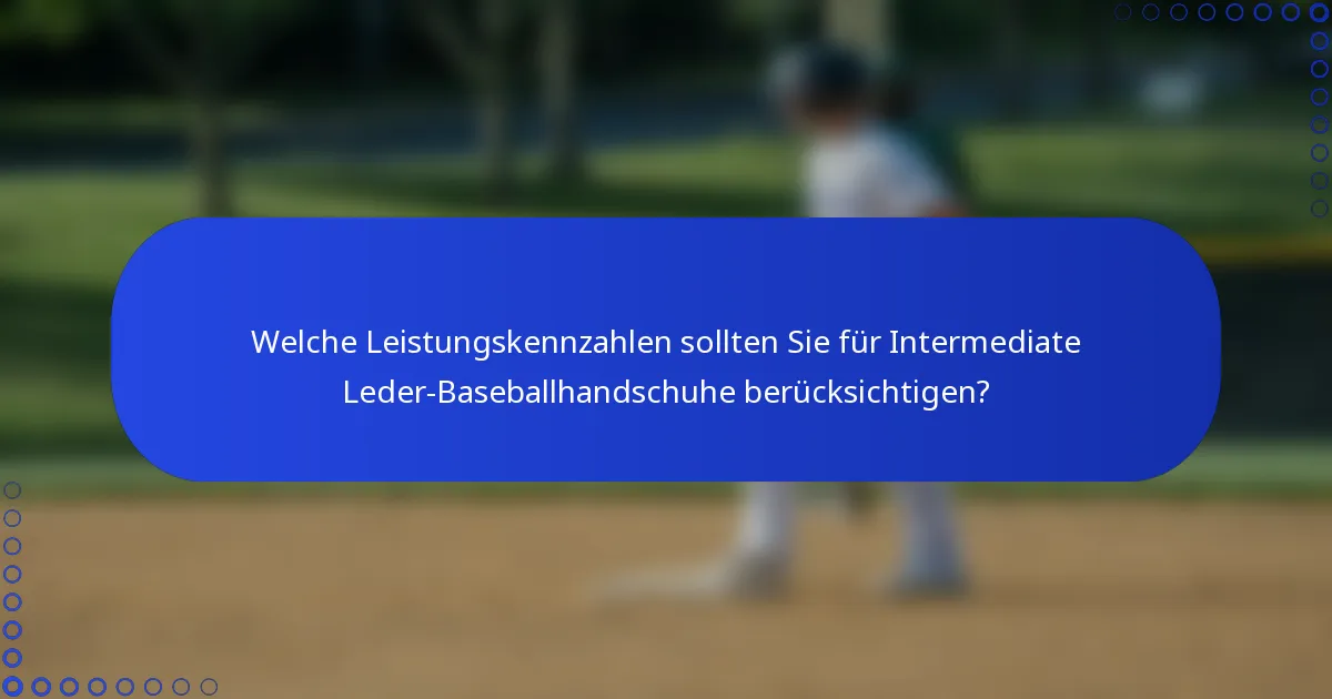Welche Leistungskennzahlen sollten Sie für Intermediate Leder-Baseballhandschuhe berücksichtigen?