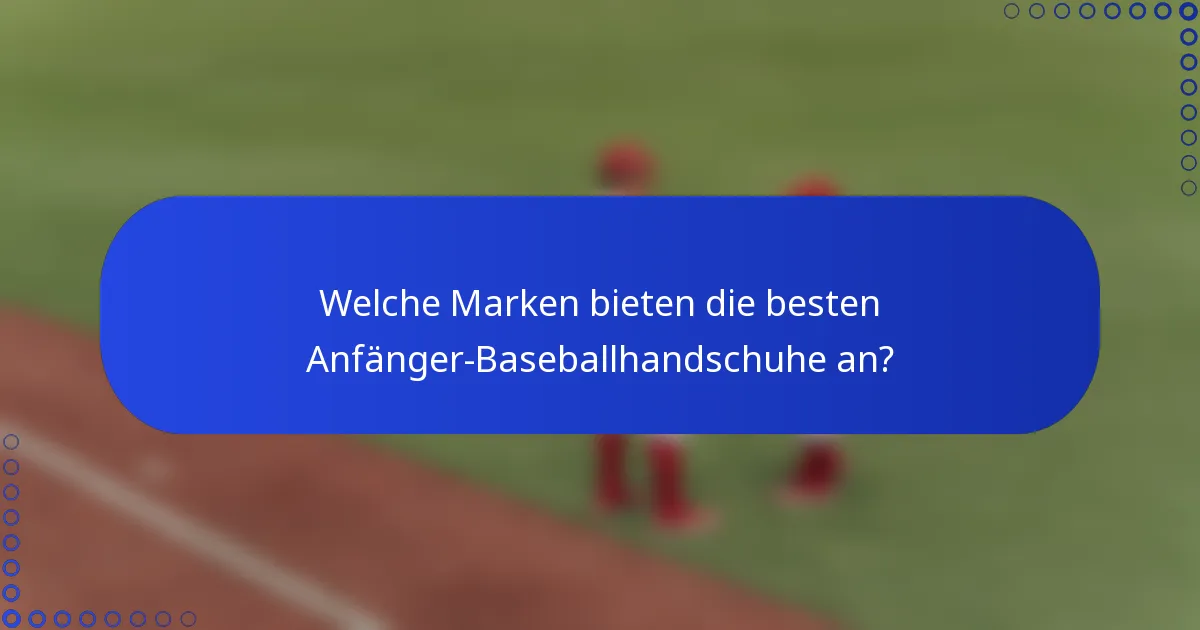 Welche Marken bieten die besten Anfänger-Baseballhandschuhe an?