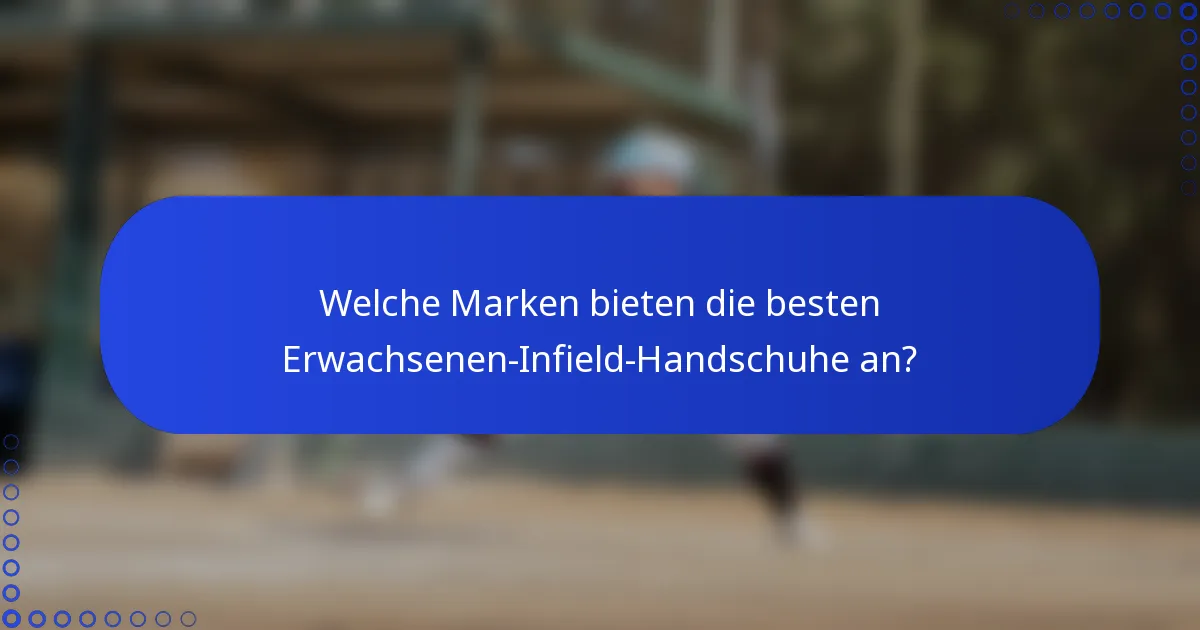Welche Marken bieten die besten Erwachsenen-Infield-Handschuhe an?