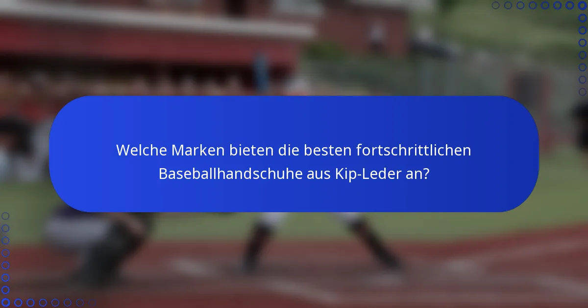 Welche Marken bieten die besten fortschrittlichen Baseballhandschuhe aus Kip-Leder an?