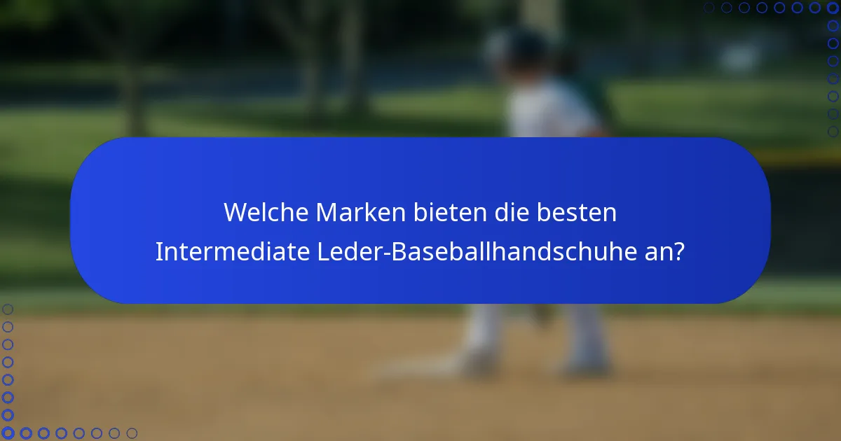 Welche Marken bieten die besten Intermediate Leder-Baseballhandschuhe an?