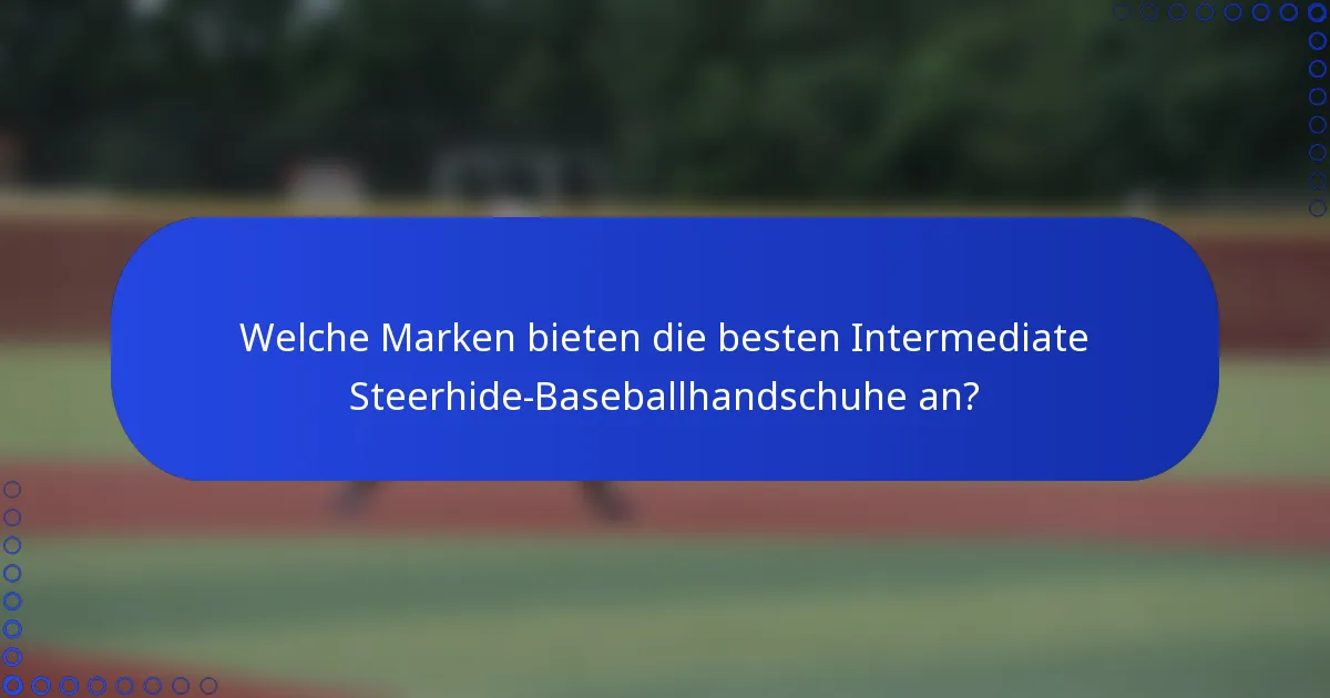 Welche Marken bieten die besten Intermediate Steerhide-Baseballhandschuhe an?