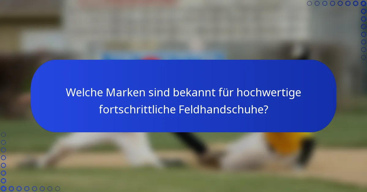 Welche Marken sind bekannt für hochwertige fortschrittliche Feldhandschuhe?