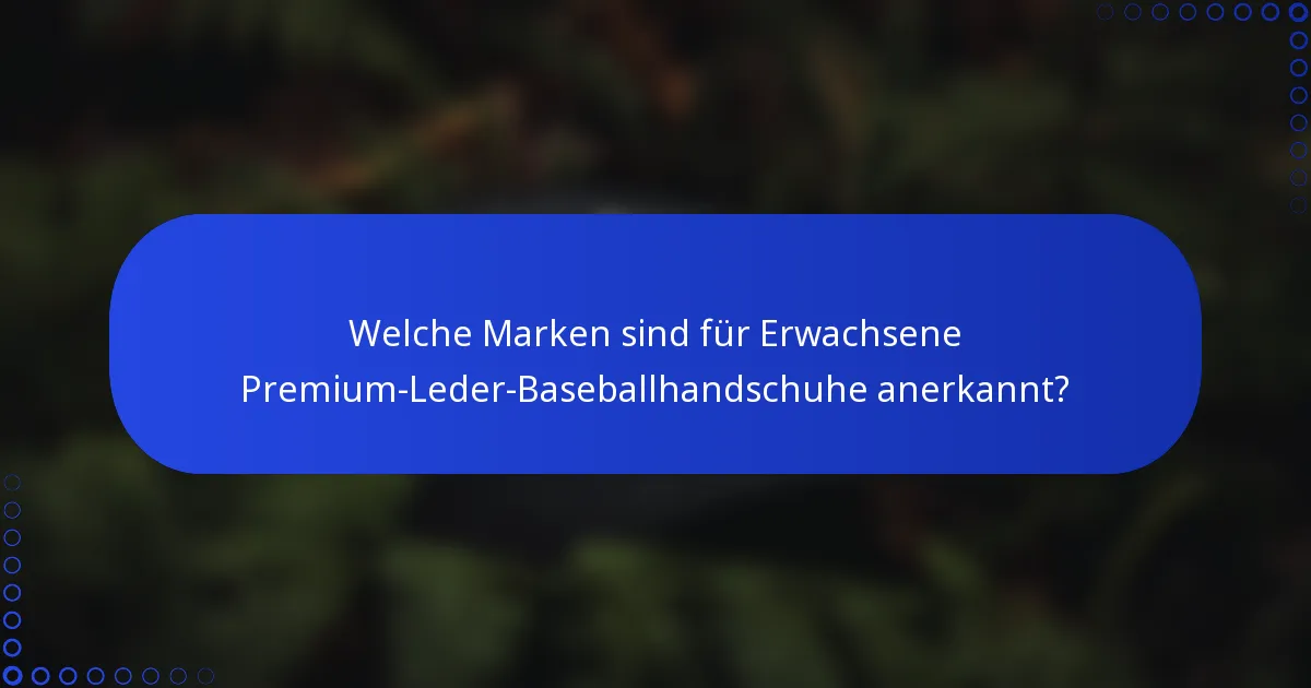 Welche Marken sind für Erwachsene Premium-Leder-Baseballhandschuhe anerkannt?