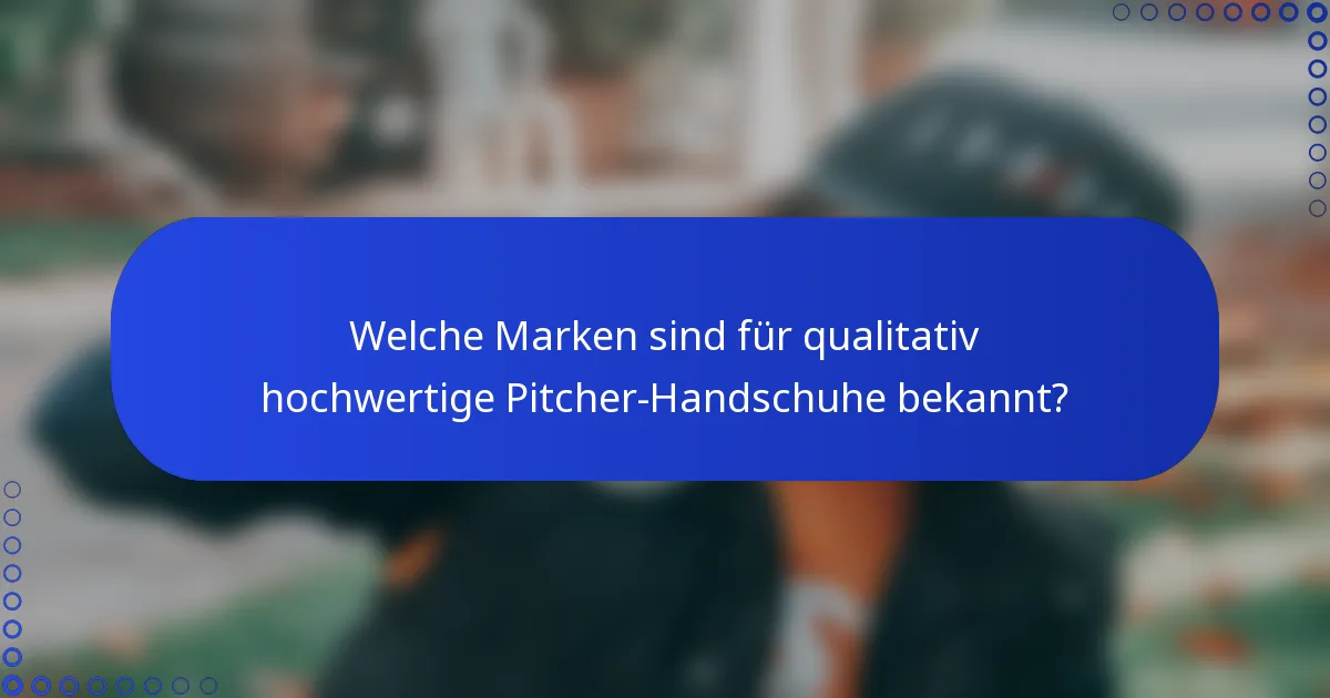 Welche Marken sind für qualitativ hochwertige Pitcher-Handschuhe bekannt?