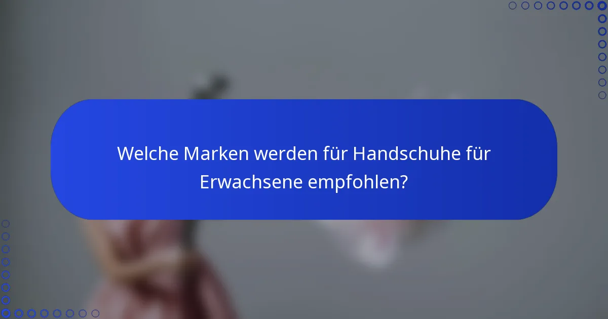 Welche Marken werden für Handschuhe für Erwachsene empfohlen?