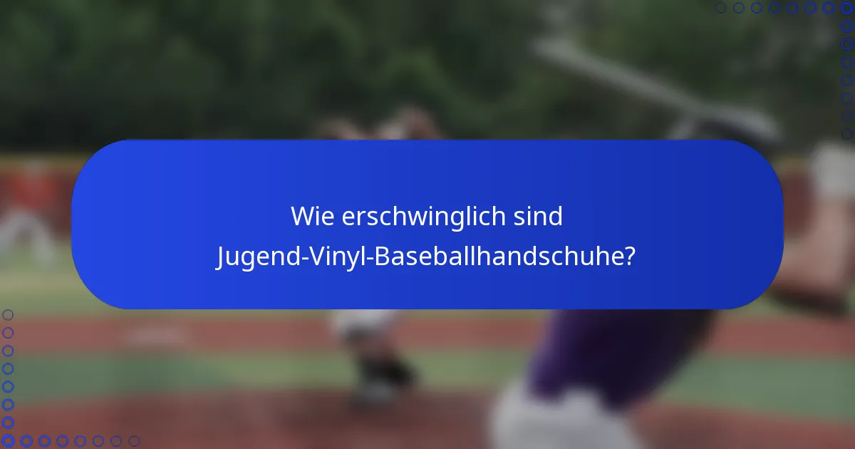 Wie erschwinglich sind Jugend-Vinyl-Baseballhandschuhe?