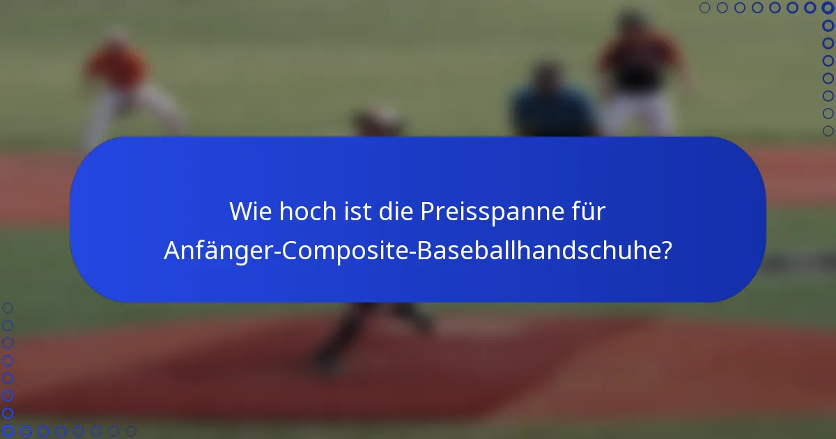Wie hoch ist die Preisspanne für Anfänger-Composite-Baseballhandschuhe?
