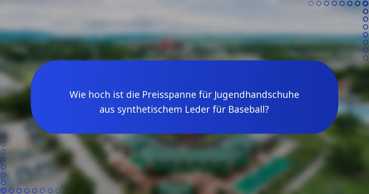 Wie hoch ist die Preisspanne für Jugendhandschuhe aus synthetischem Leder für Baseball?